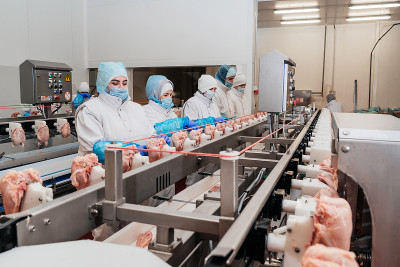 高效與標準化 高清工廠流水線素材背后的食品生產藝術