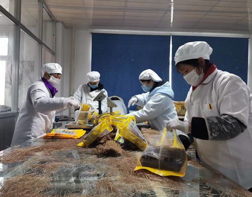 德江喜迎年貨季 傳統美食加工忙，食品安全與添加劑生產并重